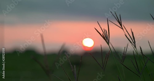 kansas sunset grasses bluestem summer