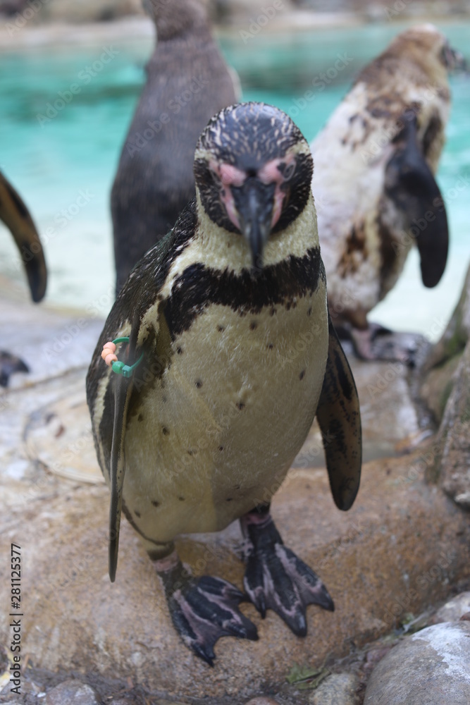 Naklejka premium london britain oxford