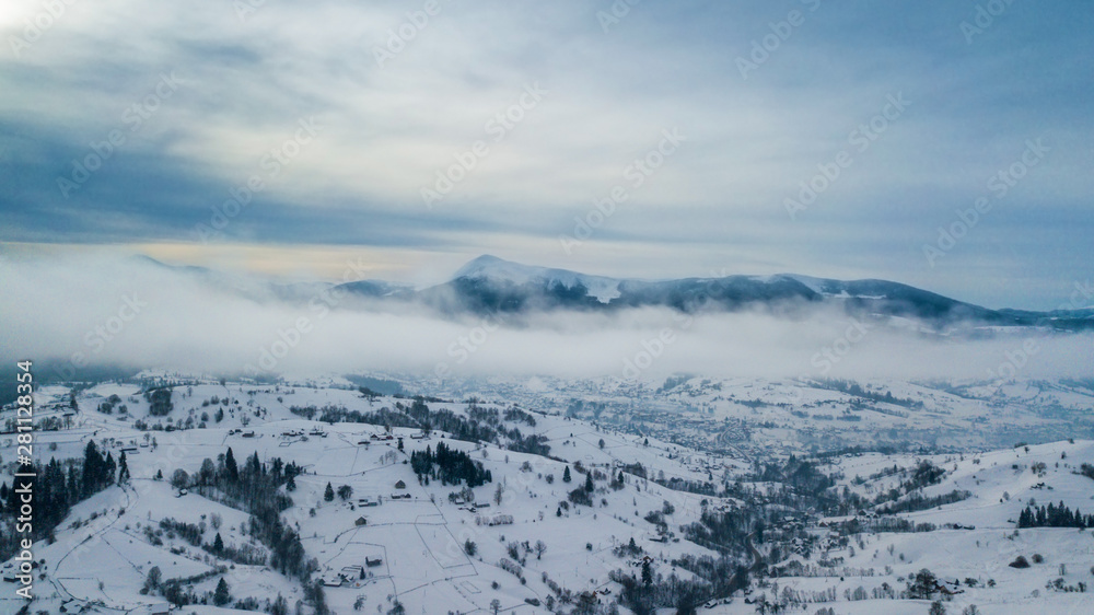 Obraz premium Aerial view of pine forest, from above. bird's eye, drone shot. amazing natural winter background