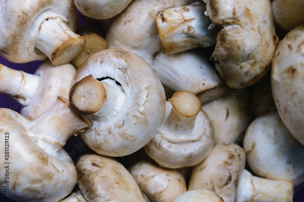 champignons can be used in a wide variety of dishes champignons can be used in a wide variety of dishes