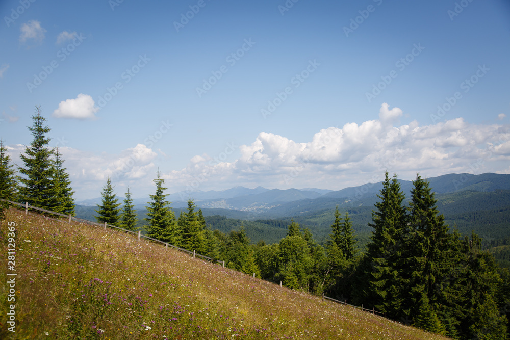 Carpathian landscape. Dirt road in the mountains. Hiking. Rural landscape in Carpatians, Ukraine. Coniferous forest, field, beautiful sky. Panorama of mountains and sky from Mount Kostrycha, Ukraine