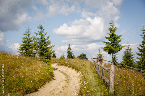 Carpathian landscape. Dirt road in the mountains. Hiking. Rural landscape in Carpatians  Ukraine. Coniferous forest and beautiful sky. Wooden fence. Panorama of mountains from Mount Kostrycha  Ukraine