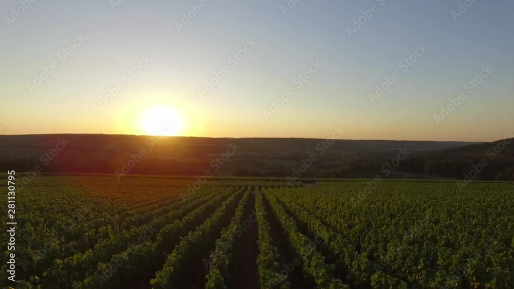 Aerial view of a sunset on a vineyard, Europe, France,Aube, Les Riceys, 4K Aerial view of a sunset on a vineyard, Europe, France,Aube, Les Riceys, 4K