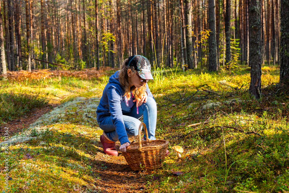 Φωτογραφία Teen girl gathers mushrooms for a walk in the summer or autumn forest