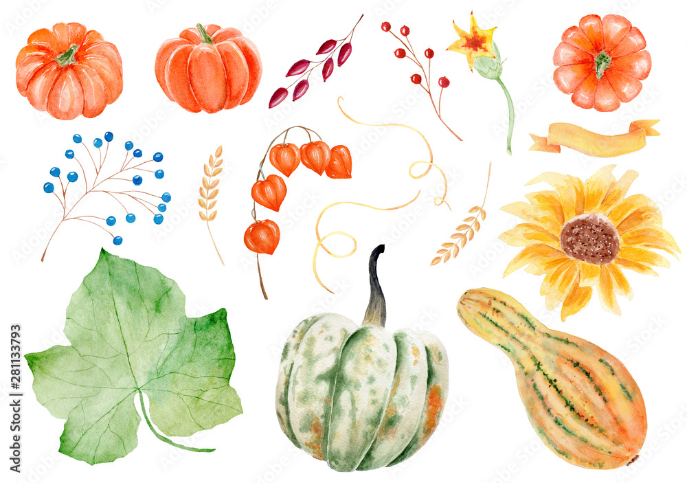 Vegetables, berries and foliage watercolor raster illustrations set