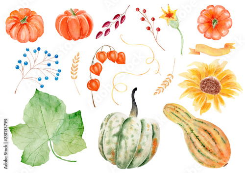 Vegetables, berries and foliage watercolor raster illustrations set