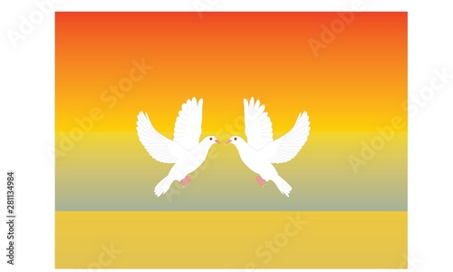 Foto Two white turtle doves in love at the beach vector