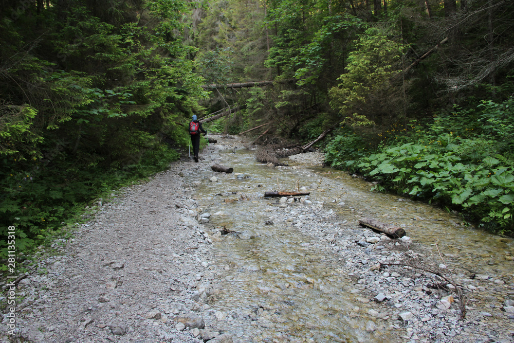 A tourist in the beautiful gorges of the Slovak Paradise National Park A tourist in the beautiful gorges of the Slovak Paradise National Park