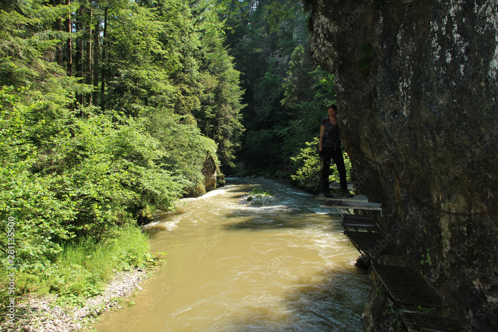 A tourist in the beautiful gorges of the Slovak Paradise National Park A tourist in the beautiful gorges of the Slovak Paradise National Park