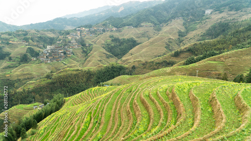 Famous Longji rice terraces  also  Longsheng rice terraces  during early spring  China