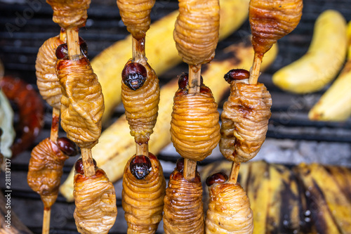 Fried suri worms on a stick, Peruvian food. Grilled worms from the Peruvian jungle. Traditional, typical food. photo