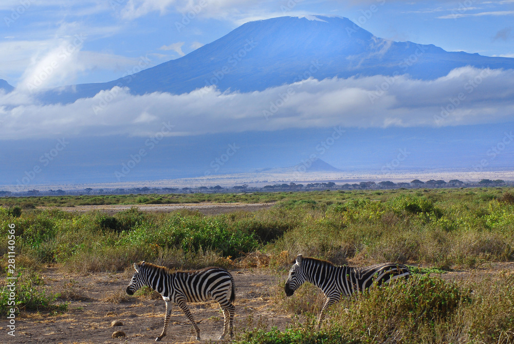 Zebras Amboseli National Park, formerly Maasai Amboseli Game Reserve ...