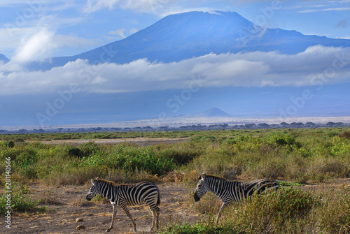 Zebras Amboseli National Park, formerly Maasai Amboseli Game Reserve, is in Kajiado District, Rift Valley Province in Kenya. photo