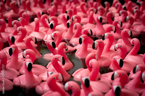 Pink plastic flamingos on water