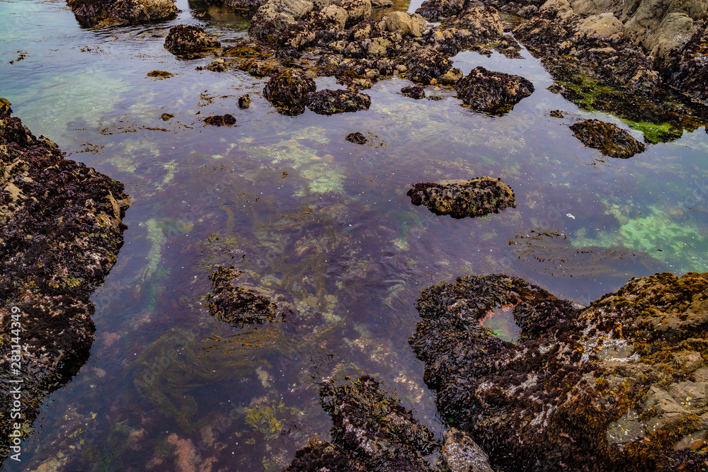 Fototapeta premium Beautiful Day Along the Northern California Coast