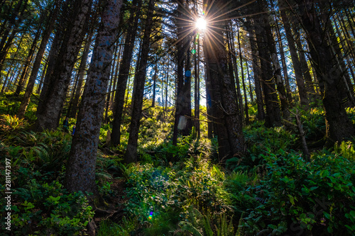Beautiful Morning Along the Oregon Coast © Jeremy Janus