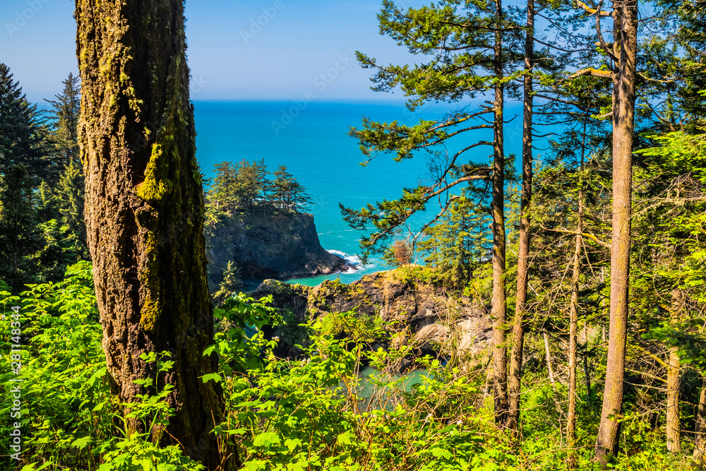 Beautiful Morning Along the Oregon Coast Beautiful Morning Along the Oregon Coast