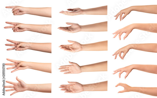 Set of  woman hands with different gestures on white...