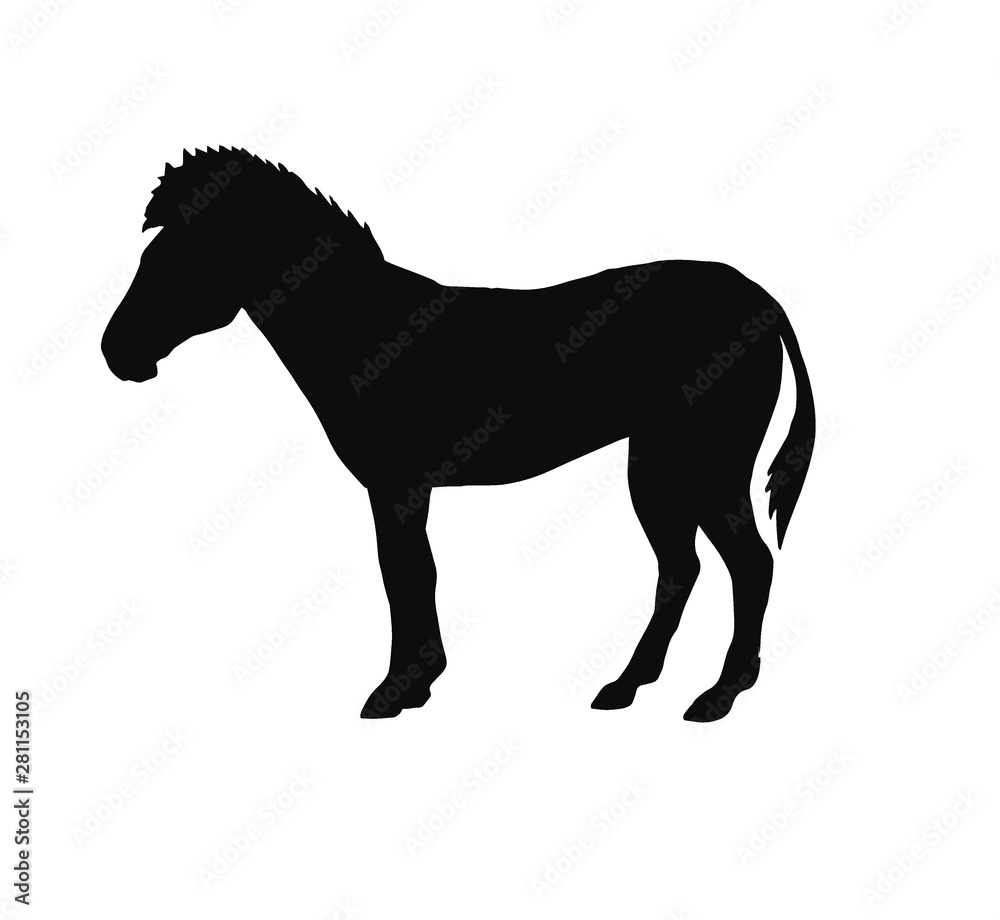 Vector flat black silhouette of zebra icon isolated on white background