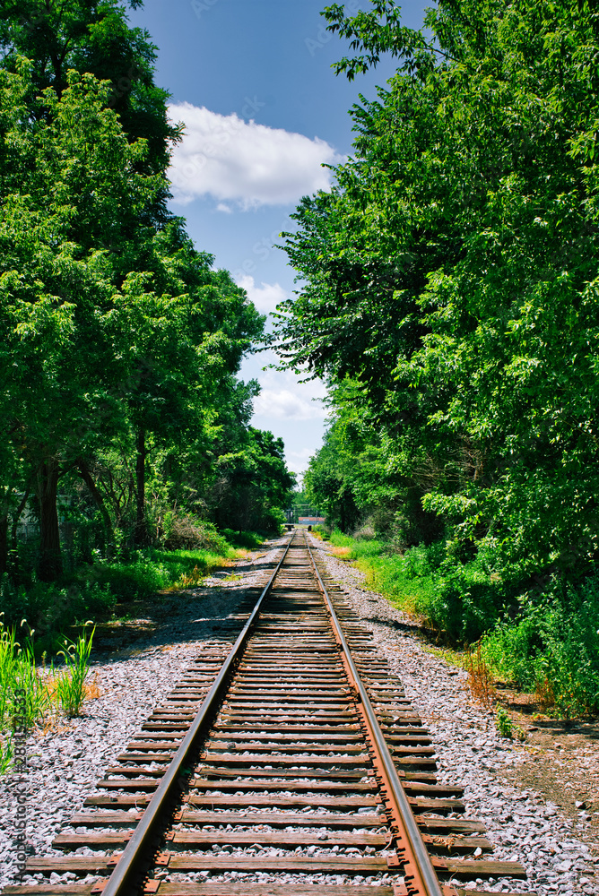 Rail Lines Rail Lines