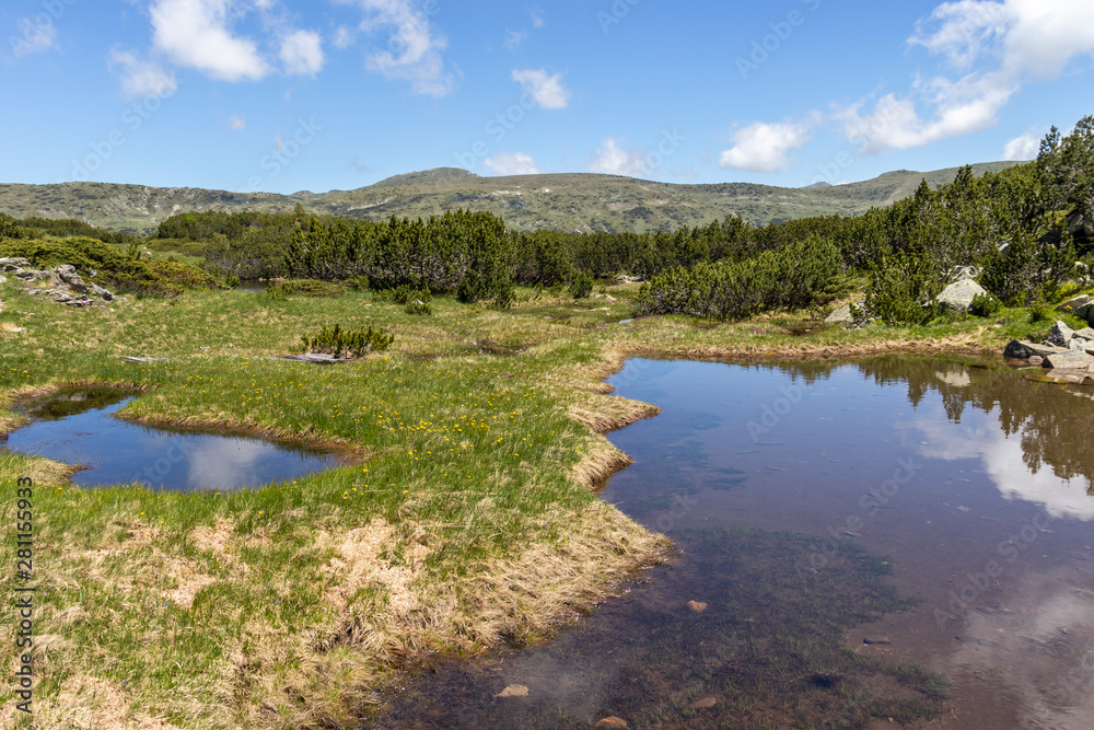 Small lakes near The Fish Lakes, Rila mountain, Bulgaria