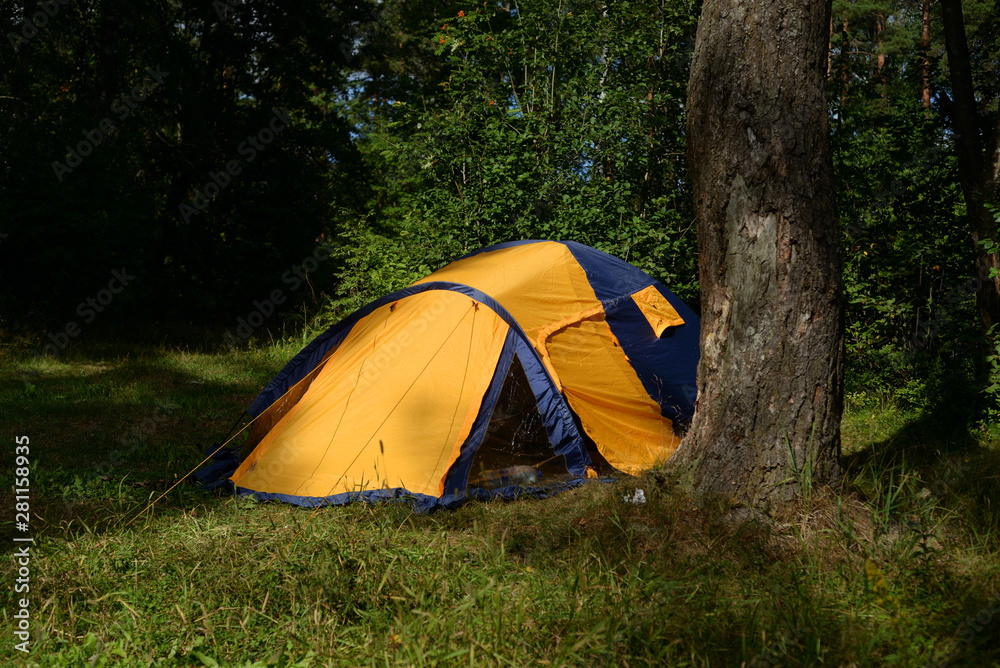 Camping tent in forest.