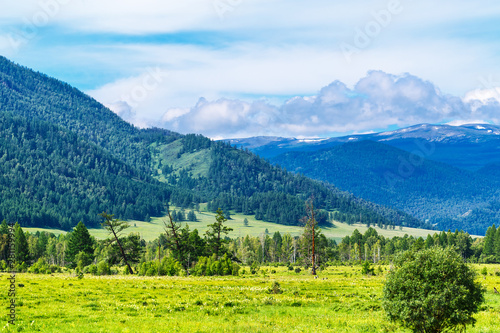 Altai mountain landscape with taiga. Altai Republic, South Siberia, Russia