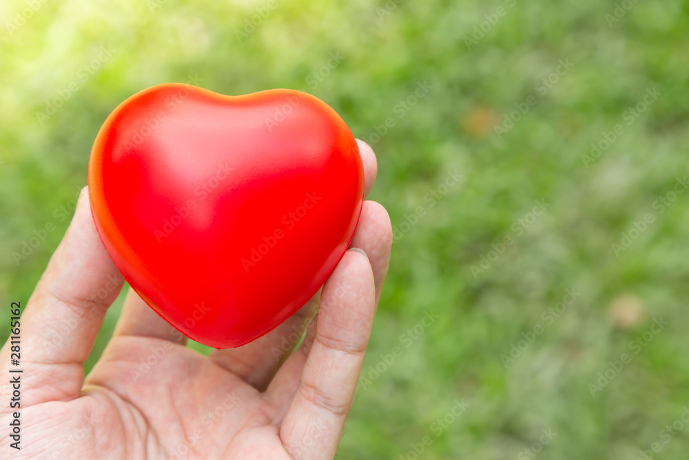 Hand hold red heart with green Hand hold red heart with green