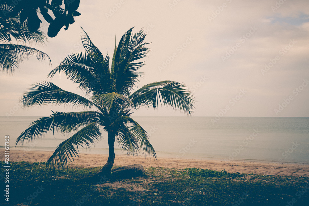 Vintage tone of Coconut palms on the beach and sky