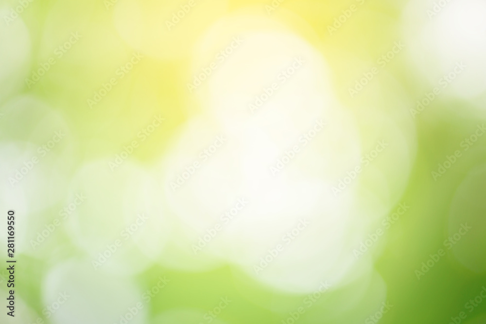 Obraz premium Abstract nature background. Green bokeh nature. Green bokeh out of focus background from nature forest.