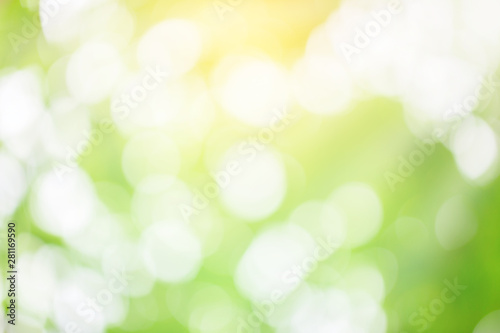 Abstract nature background. Green bokeh nature. Green bokeh out of focus background from nature forest.