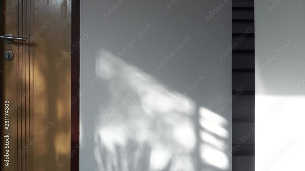 Shadow of leaf on the wall. Abstract shadow of palm leaf from early morning sunlight shining on wooden door and white wall interior,4k video.