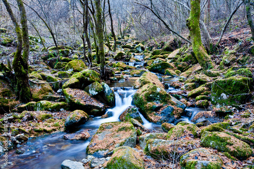 이끼가 낀 바위 위를 흐르는 계곡물 valley water flowing over mossy rocks