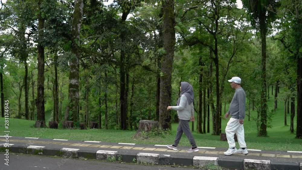 two senior couple walking together in the park doing som exercising