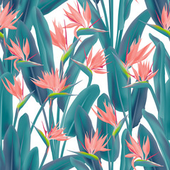 Fototapete Tropische Paradiesblumen-Muster Sommerliches Strelitzia Dschungelblüten Design  © SunwArt