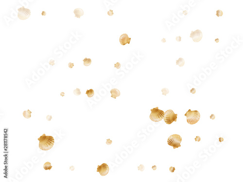 Gold seashells vector, golden pearl bivalved mollusks. 