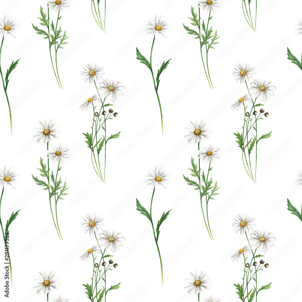 Naklejka Watercolor digital paper pattern camomile flowers seamless illustration set of summer botanical decorations greeting card design