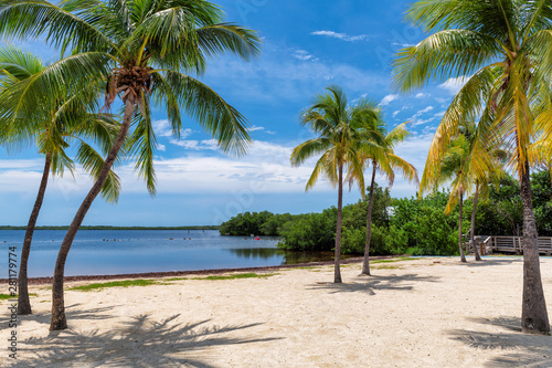 Fototapeta Naklejka Na Ścianę i Meble -  Sunny beach with coco palms and tropical sea in Key Largo beach, Florida.