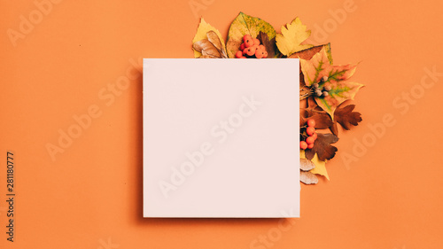 Autumn greeting card. White mockup paper sheet with foliage decoration on orange background. Copy space.