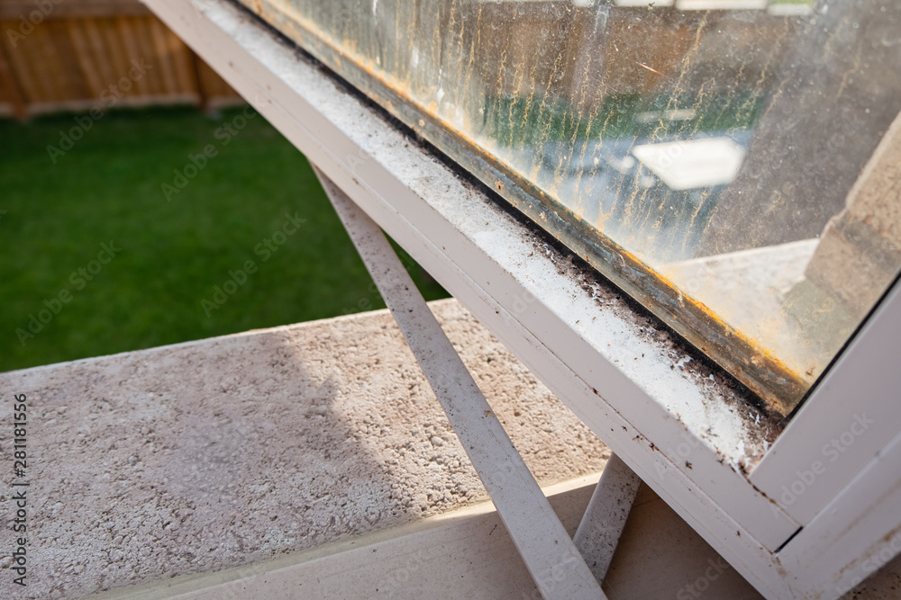 A dirty, moldy window before being cleaned. A dirty, moldy window before being cleaned.