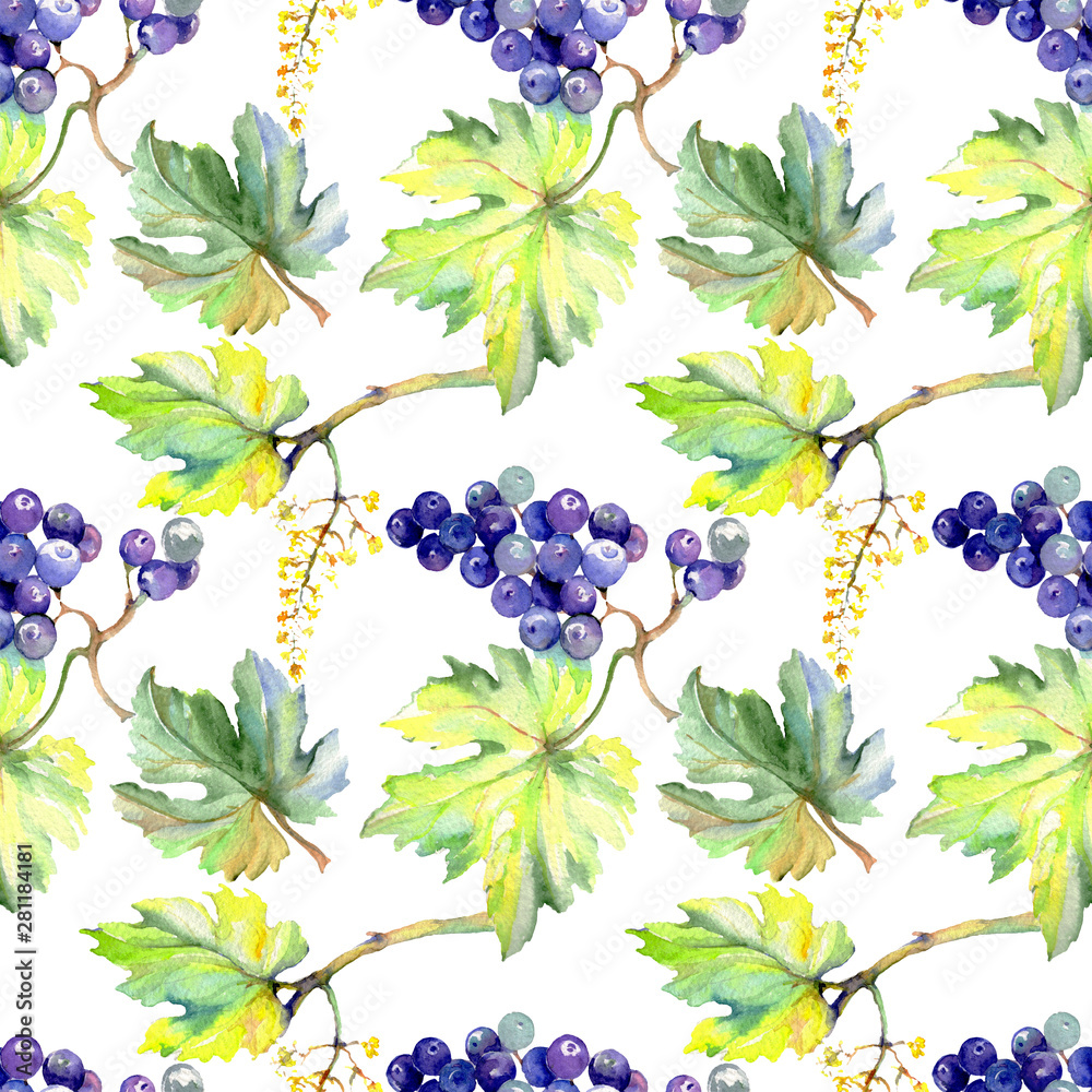 Grape berry healthy food in a watercolor style. Watercolor background set. Seamless background pattern. - obrazy, fototapety, plakaty 