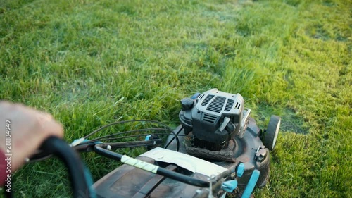 Wallpaper Mural male gardener mows green grass, holding in the courageous hands of a gasoline lawn mower, in the afternoon, in Sunny weather, summer, in the backyard, garden, close-up Torontodigital.ca