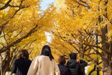 Tourists walking down Jingu Gaien Ginkgo Avenue in Tokyo　神宮外苑 イチョウ並木の下を歩く人々