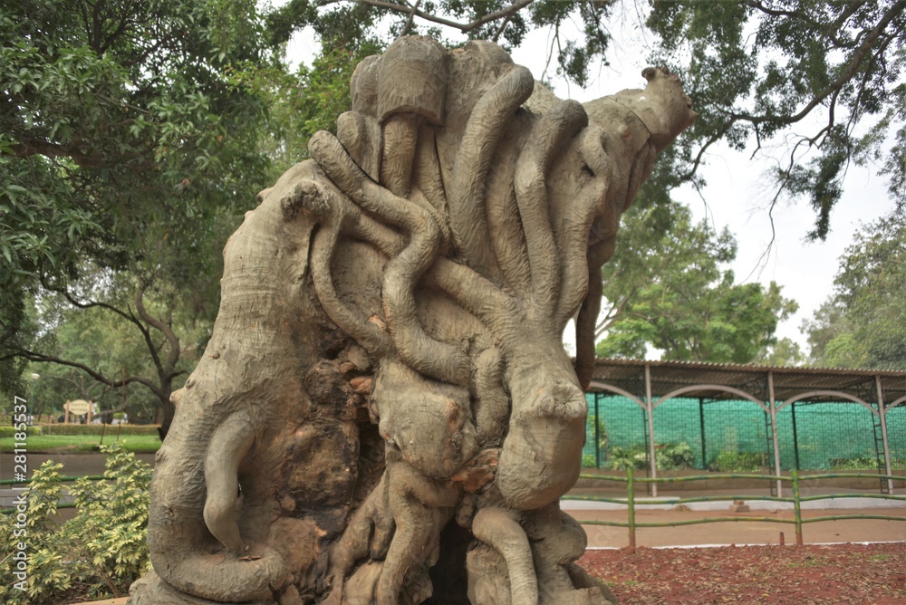 Lalbagh Botanical Gardens tree carvings, Bangalore, Karnataka, India