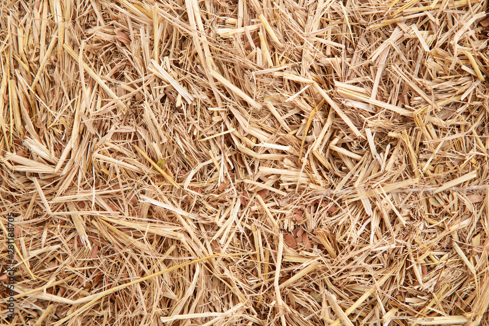 dry yellow hay using for agriculture background