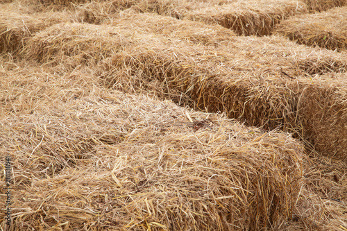 dry yellow hay using for agriculture background