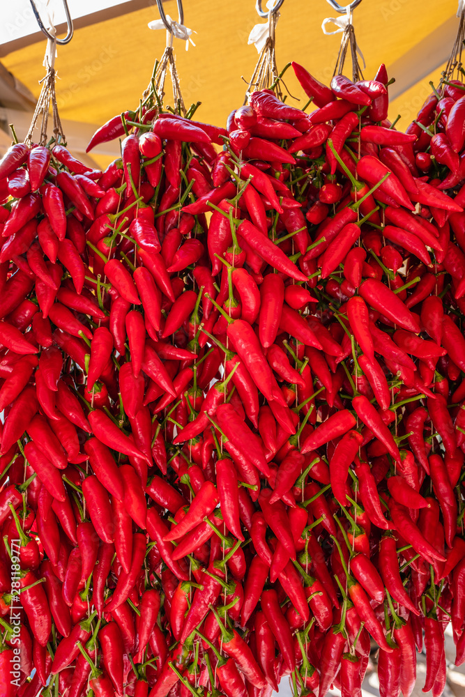 Fototapeta premium aufgehängte rote peperoni