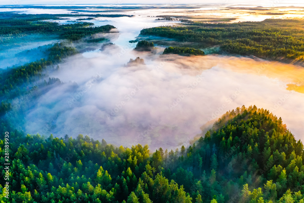 Thick fog in morning concept. Aerial landscape. Green forest in countryside, beautiful scenery