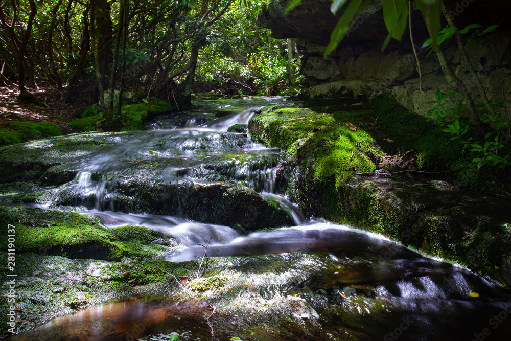 Fototapeta premium Rushing Appalachian Mountain Stream Back Woods Pennsylvania