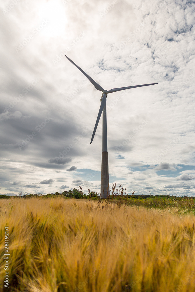 Windmill in field at summer Windmill in field at summer